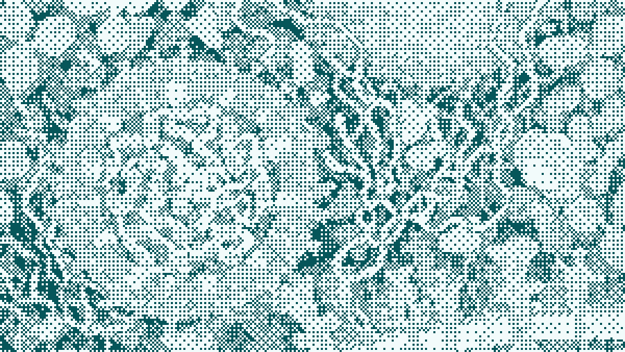 CELL-iAI