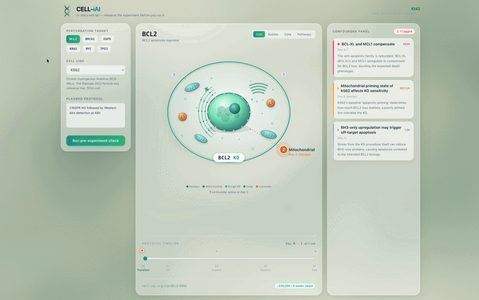 CELL-iAI pre-experiment check for a BCL2 knockout in the K562 cell line, showing the simulated cell view, the planned CRISPR protocol timeline, and a confounder panel flagging BCL-XL/MCL1 compensation